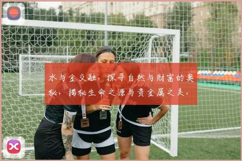 水与金交融，探寻自然与财富的奥秘，揭秘生命之源与贵金属之美，三重境界，一网打尽