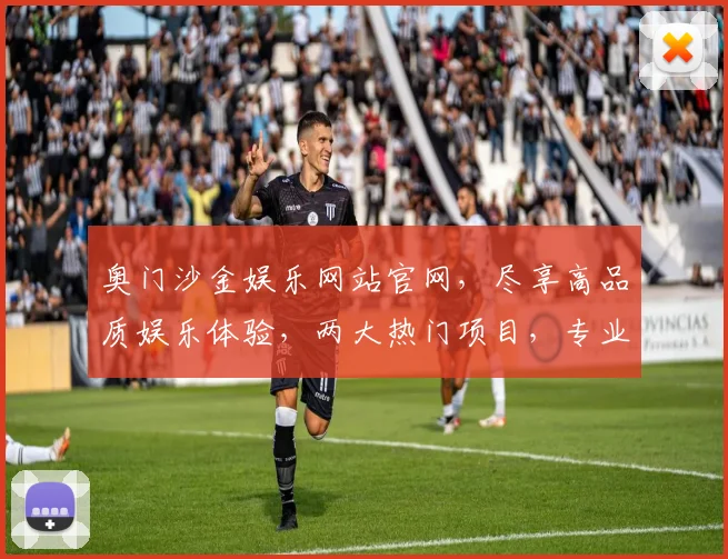 奥门沙金娱乐网站官网，尽享高品质娱乐体验，两大热门项目，专业推荐，必看攻略
